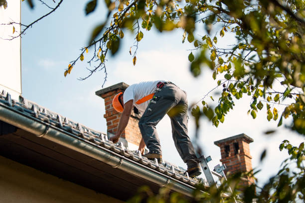 Professional Roofing Contractor in Durand, MI