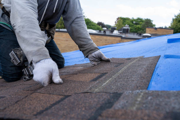 Best Roof Waterproofing Services  in Durand, MI