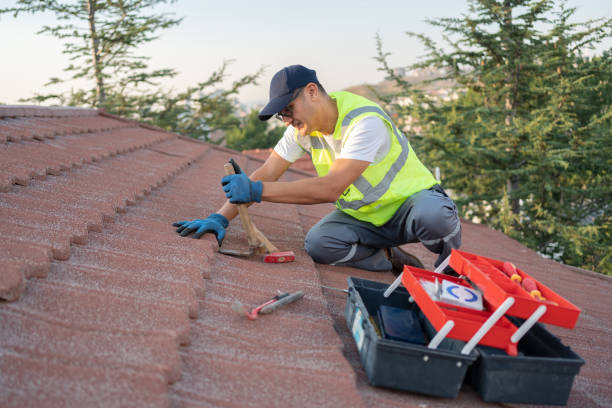 Best Roof Gutter Cleaning  in Durand, MI