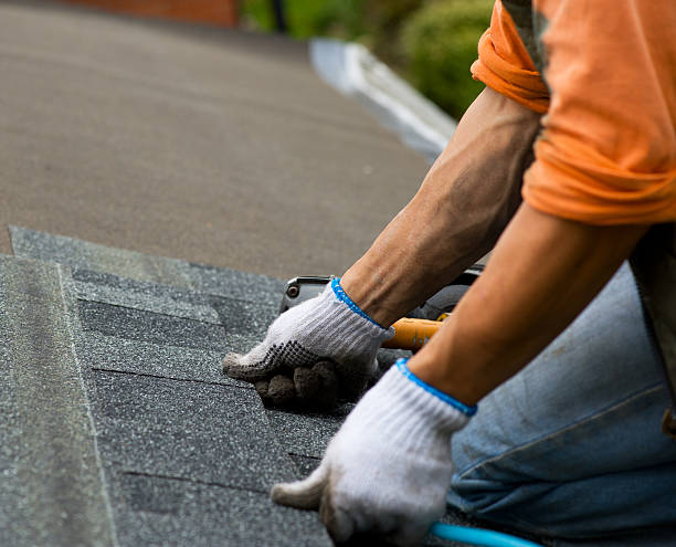 Best Metal Roofing Contractor  in Durand, MI