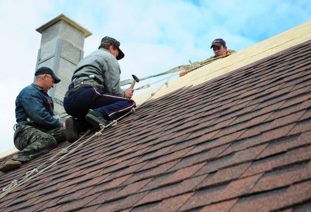 Best Roof Leak Repair  in Durand, MI
